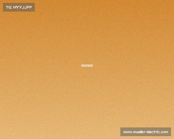 中国和美国电子战