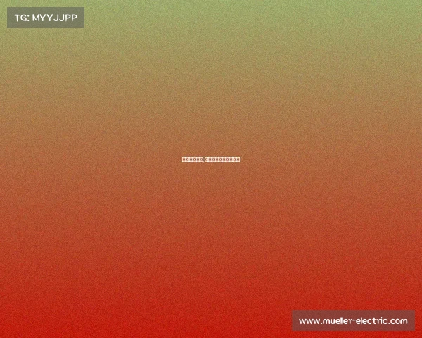 电子竞技于梁;电子竞技之父章节小说